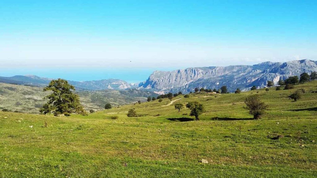 tour bici sui nebrodi escursione sui nebrodi