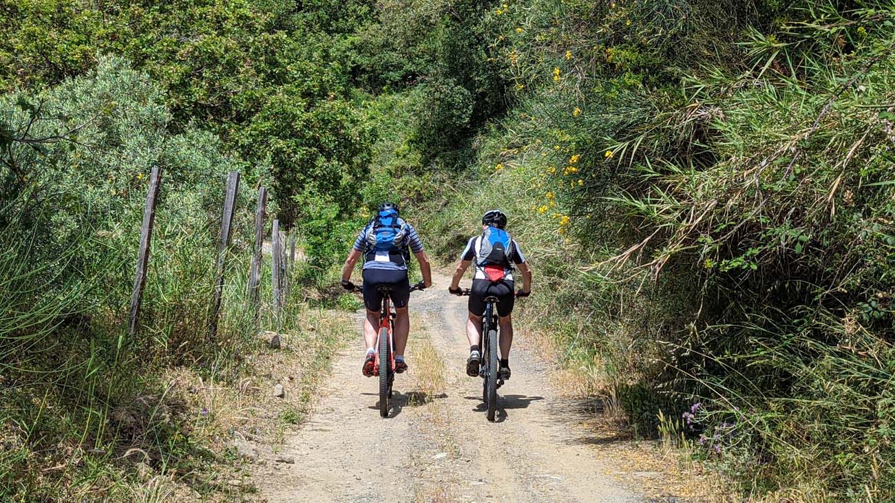 escursioni in bicicletta sicilia tour in bici sicilia escursioni sull'etna escursioni sui nebrodi escursioni alcantara (35)