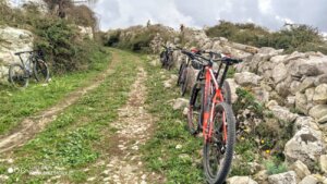 escursioni in bicicletta sicilia tour in bici sicilia escursioni sull'etna escursioni sui nebrodi escursioni alcantara (48)